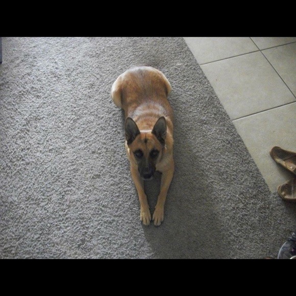 Hi! - Picture 2 of 3